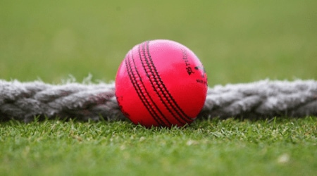 Day-Night Test will boost fans’ interest: BCCI acting secretary Amitabh Choudhary to CoA