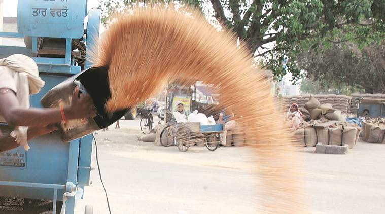 Punjab: Wheat procurement from April, govt reaches out to Ahrtiyas