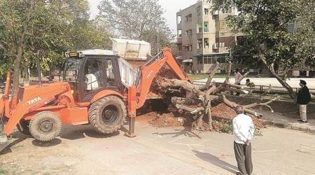 Work begins on proposed RUB at Manimajra rail crossing