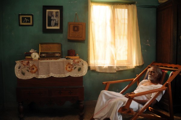 radiopetti stills