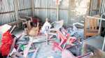 Tripura violence: Suddenly targets, CPM cadres hide in party office