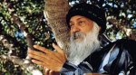 Chapman and Maclain Way on Osho docu-series Wild Wild Country: We wanted to make this an immersive experience