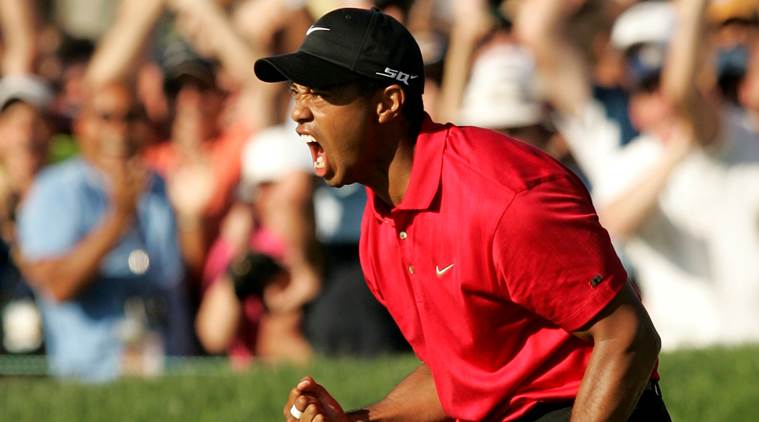 tiger woods