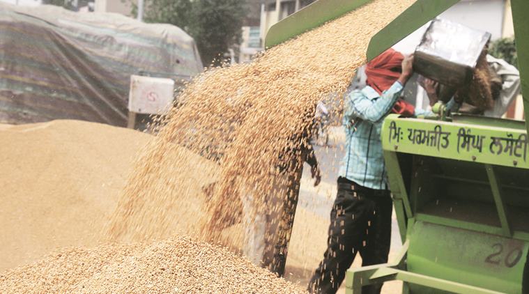 Wheat procurement: ‘Tendering process in 401 clusters completed’
