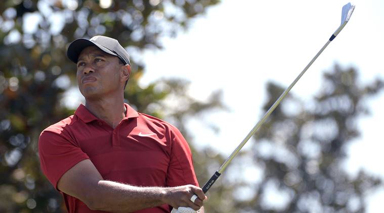 tiger woods