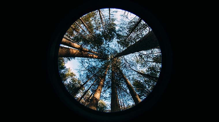 Fish-eye Lens