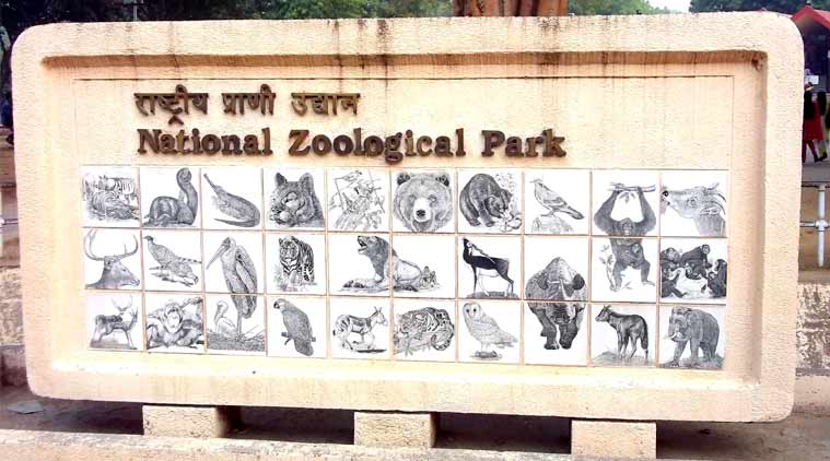 To dress up its report card, Delhi Zoo buried at least 50 animal deaths