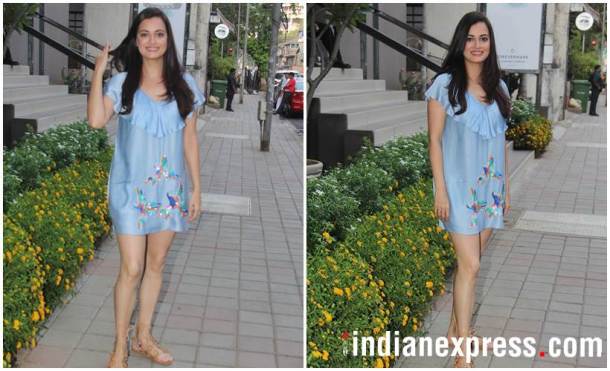 dia mirza