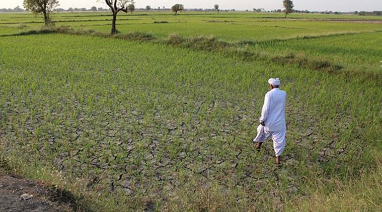 Not only landholdings, other factors such as caste, habitation, school related factors, teachers factor among others will also be a part of study. (Express photo/Javed Raja/File)