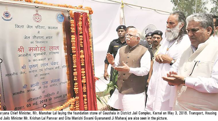 Karnal jail Gaushala