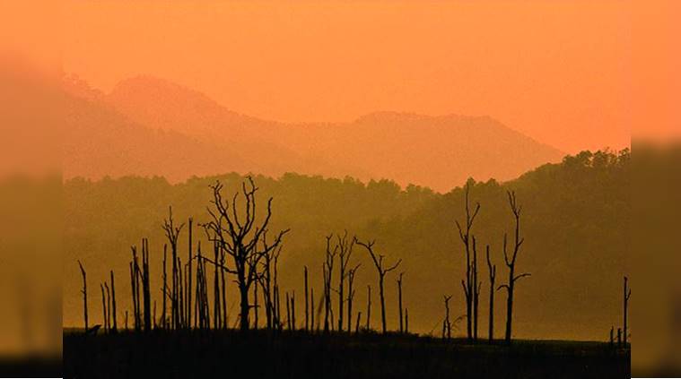One With the Jungle, Jim Corbett National Park, Corbett National Park, Durgadevi gate, Marchula village, Van Ghat, Ramganga, indian express, indian express news