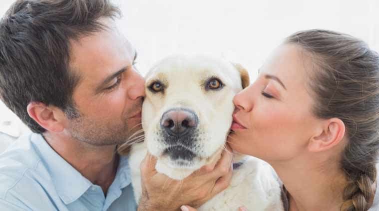 pets, staying with pets, pets and animals, pets and mental illness, indian express, indian express news