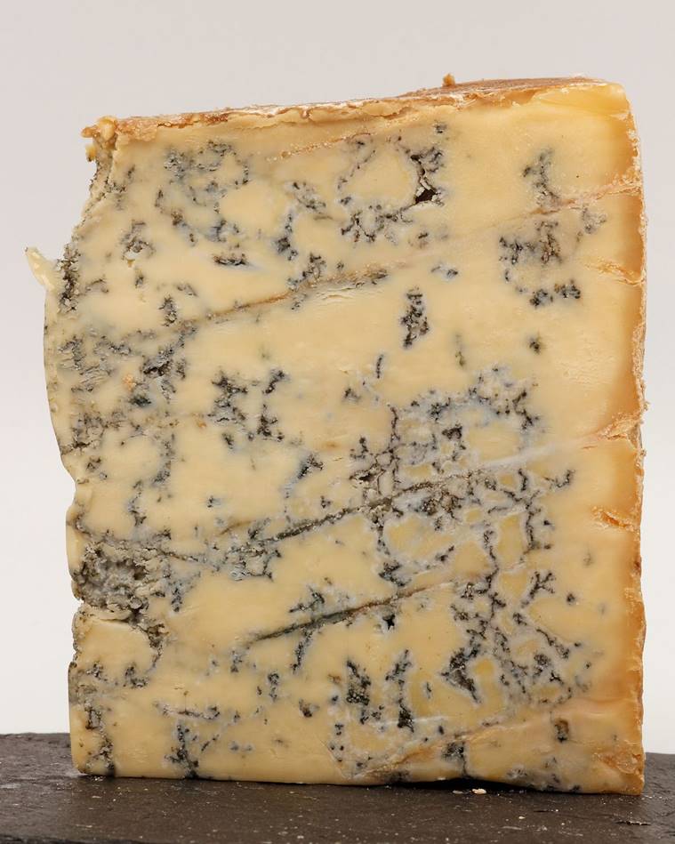 unusual cheese, must try cheese, Wensleydale, Pecorino Romano, Epoisses, Stilton cheese, gold cheese, different types of cheese, Casu Marzu, Yak Cheese, indian express, indian express news