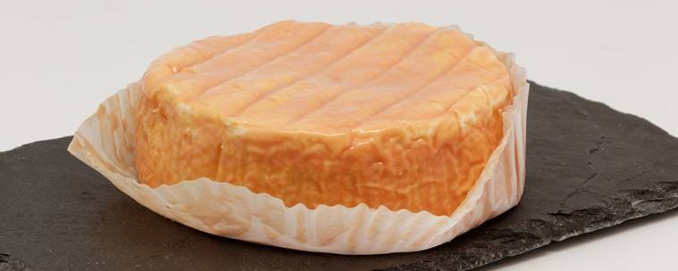 unusual cheese, must try cheese, Wensleydale, Pecorino Romano, Epoisses, Stilton cheese, gold cheese, different types of cheese, Casu Marzu, Yak Cheese, indian express, indian express news