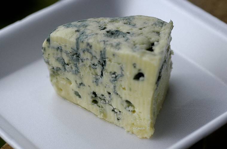 unusual cheese, must try cheese, Wensleydale, Pecorino Romano, Epoisses, Stilton cheese, gold cheese, different types of cheese, Casu Marzu, Yak Cheese, indian express, indian express news