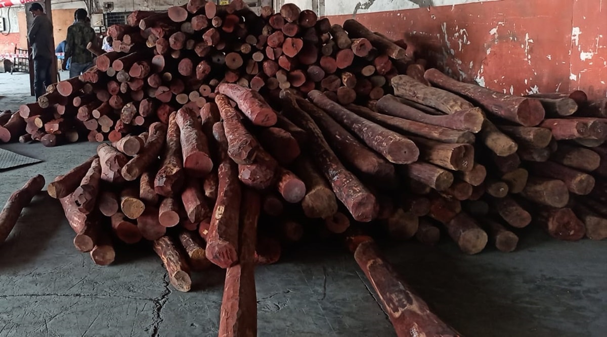 Mumbai Red Sanders Worth Over Rs Crore Seized From Container At