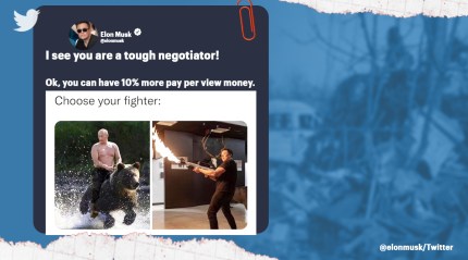 Elon Musk challenges Putin, says 'stakes are Ukraine'. See reactions on Twitter