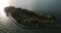 Coffee Caye: Investors buy the Caribbean island to start their own country