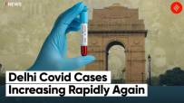 Covid cases rise again: Delhi logs 299 Infections at a positivity rate of 2.49% Covid cases rise again: Delhi logs 299 Infections at a positivity rate of 2.49%