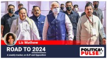 BJP's plans for southern frontier: dial down on divisive image, focus on key seats