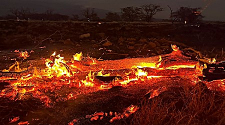 Unprecedented blaze engulfs Hawaiian island; at least 36 dead