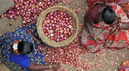 Govt to release buffer onion in open market immediately to keep prices under check