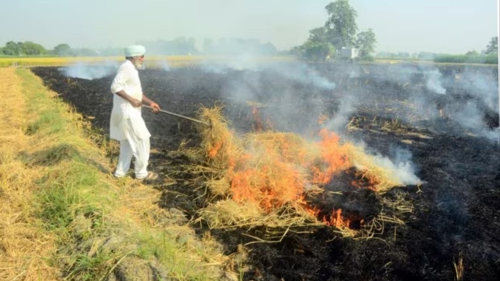 Haryana Cites NASA Images To Puncture Punjab Numbers On Stubble