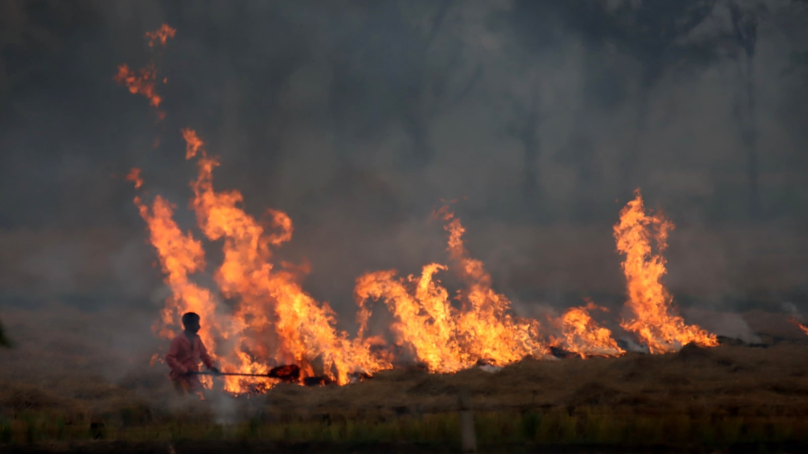 Why Punjab Plan To Stop Farm Fires Is Going Up In Smoke Chandigarh