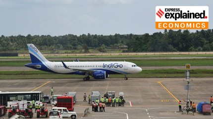 Explained: IndiGo’s long-haul, low-cost flights dreams