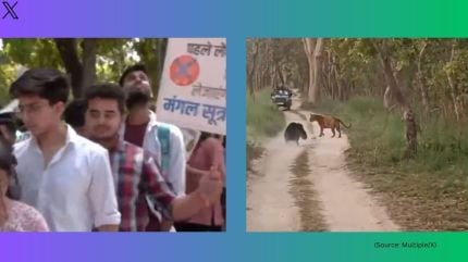Viral videos today: University students failing to explain reason behind march against Congress, tigress’ rare encounter with sloth bear and more