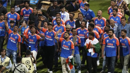 How Rs 125 crore T20 World Cup prize money will be split