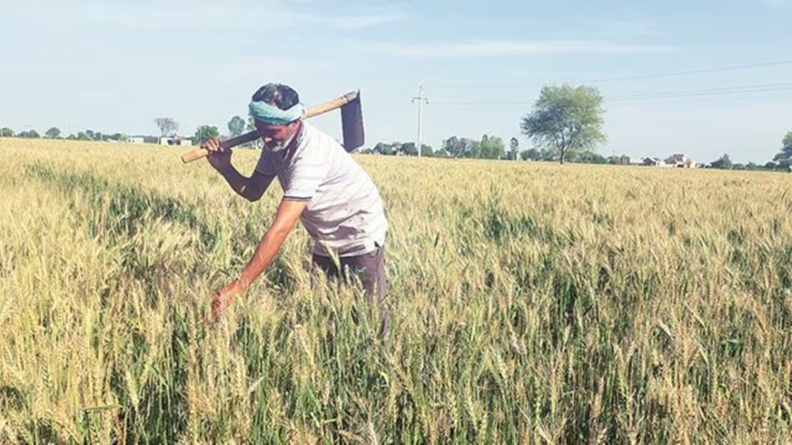 Rs 650 Crore Transferred To 65 Lakh Rajasthan Farmers Under PM Kisan