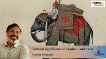 Elephant and horse