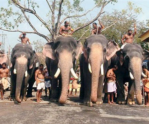 India Inc plans cost-cutting,says study