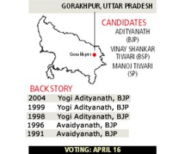 M_Id_70615_Yogi_Fear no alt set