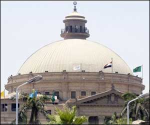 Egypt announces first case of swine flu