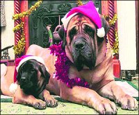 M_Id_86023_simplicity no alt set