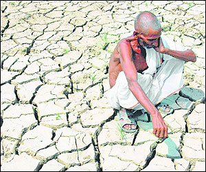 Farmer suicides, Odisha government, crop failure, farmer suicides relief package, Judhistir Putel, Nation news, india news