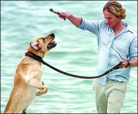 M_Id_93612_simplicity no alt set