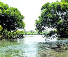 M_Id_112266_tourism no alt set