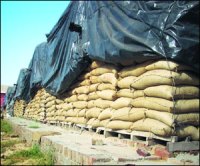 M_Id_115823_fields no alt set