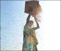 M_Id_118447_agri no alt set