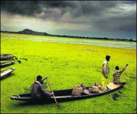 M_Id_119986_kashmir no alt set