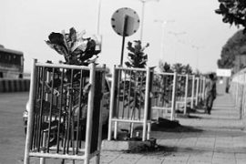 M_Id_134094_worli_seaface_makeover no alt set