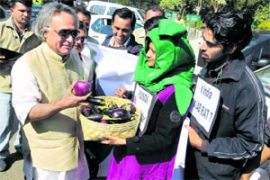 M_Id_135429_ramesh no alt set