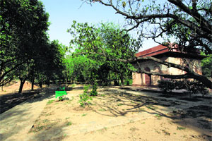 Sunder Nursery,citys new oasis