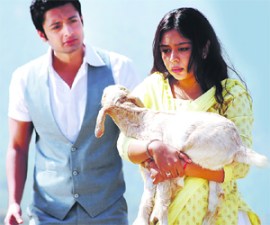 M_Id_160200_chand no alt set