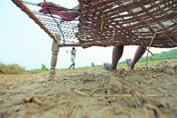 M_Id_166175_Land no alt set