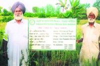 M_Id_166361_agriculture no alt set