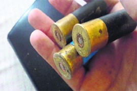 M_Id_174871_cartridges no alt set